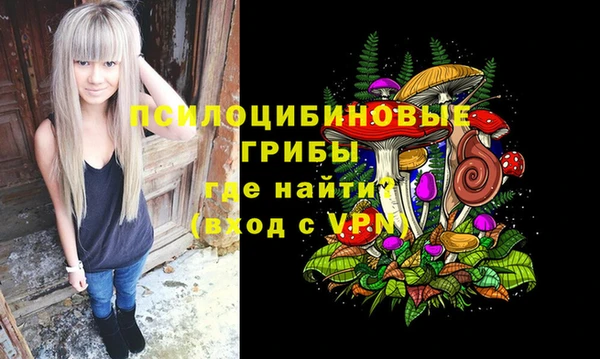гашик Балабаново