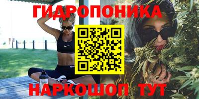 бошки Новокубанск