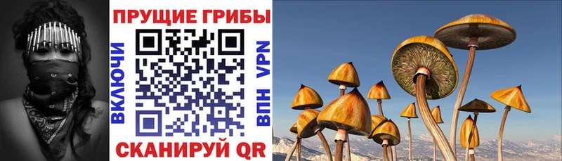 где купить   Сегежа  Галлюциногенные грибы ЛСД 