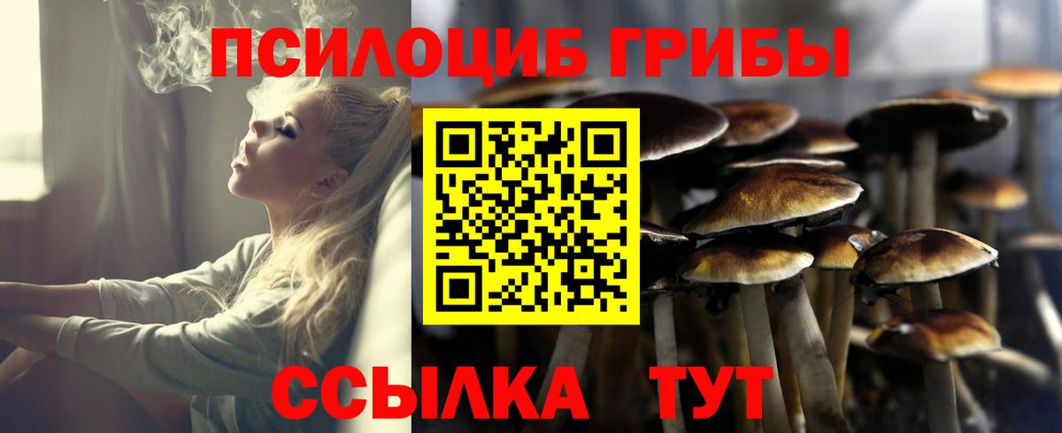 Сегежа  Псилоцибиновые грибы MAGIC MUSHROOMS  Вход с VPN 
