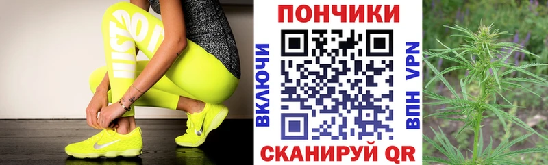 Бошки Шишки THC 21%  магазин    Сегежа 